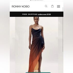 Ronny Kobo Tyler Asymmetrical Ombre Cowl Neck Spaghetti Strap Midi Maxi Dress